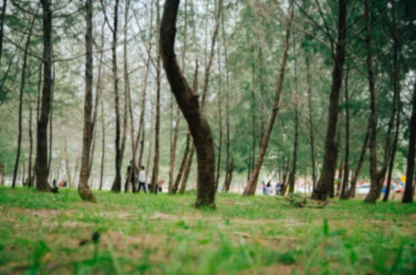 blurred image man made forest on the seashore with unidentified people.