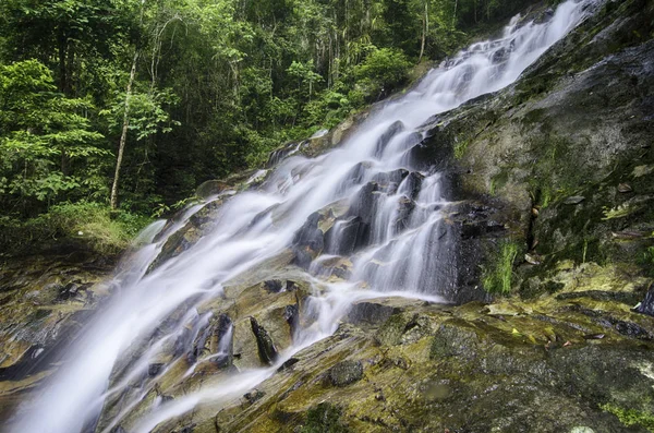 kırpılmış ve bulanık görüntü güzellik şelale yeşil doğa ile çevrili.