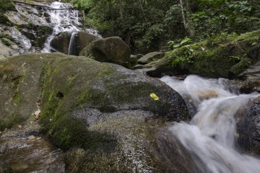 Tropik şelale güzel yeşil ormanın içinden akan inanılmaz sahne