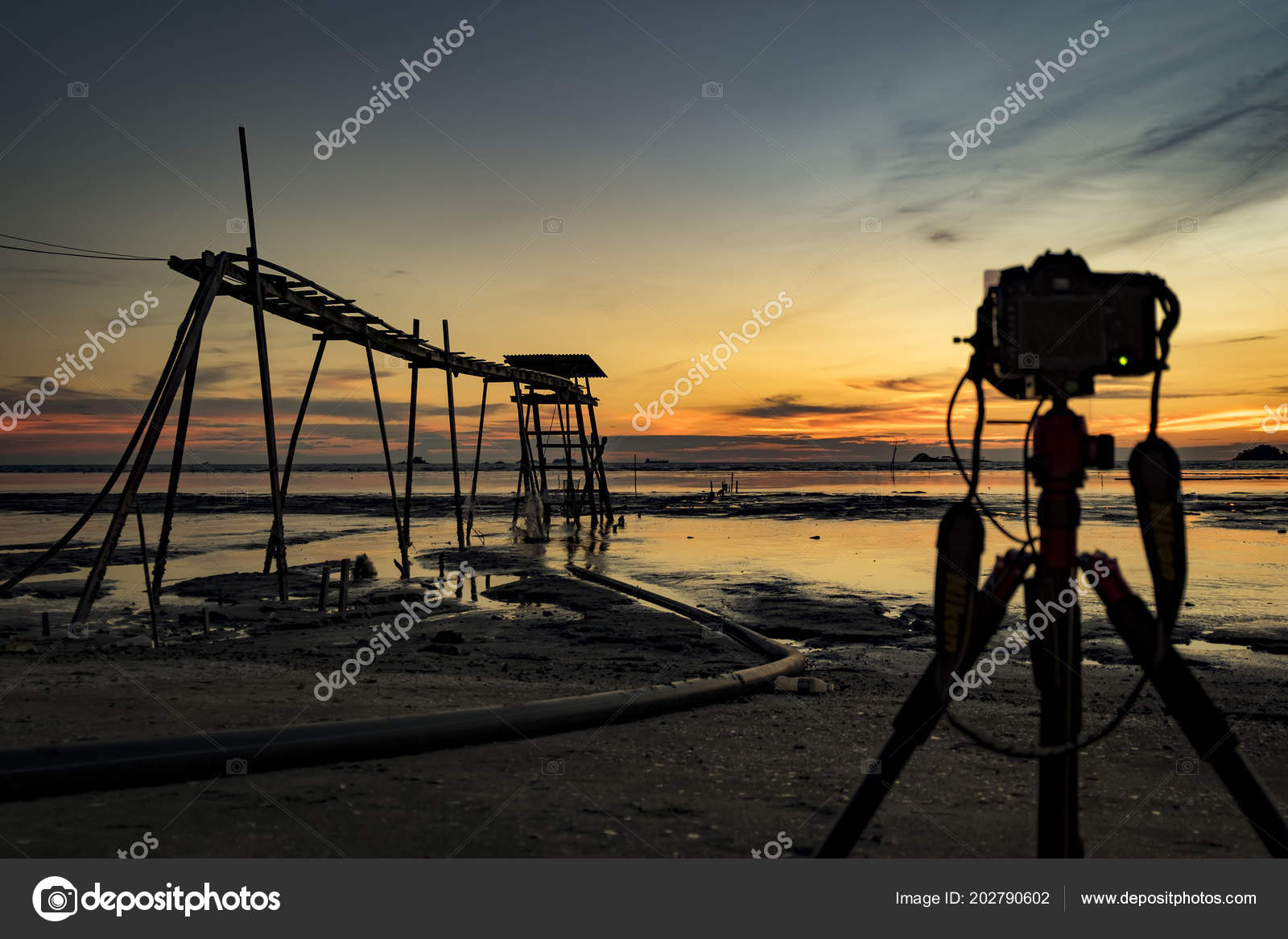 Golden Moment Heure Beau Fond Coucher Soleil Tropical