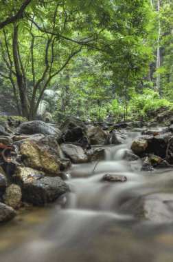 doğada, basamaklı tropik şelale inanılmaz güzel. ıslak ve yosunlu rock, yeşil yağmur ormanıyla çevrili