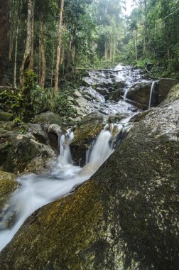 doğada, basamaklı tropik şelale inanılmaz güzel. ıslak ve yosunlu rock, yeşil yağmur ormanıyla çevrili
