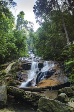 güzel doğa Kanching şelale içinde Malaysia, şaşırtıcı basamaklı tropik şelale yer. ıslak ve yosunlu rock, yeşil yağmur ormanıyla çevrili