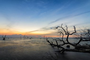 Seyahat ve eğlence kavramı, güzel deniz görünümü sahne üzerinde çarpıcı gündoğumu background.sunlight kiriş ve dalga yumuşak kumlu plaj isabet