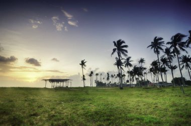 gündoğumu günbatımı sırasında kıyıya yakın köy huzur görüntüsü. palmiye ağacı ve yeşil alan