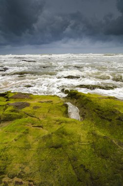 güzel Deniz Manzaralı, canlı yeşil yosunlu ve algae.dramatic bulutlu gökyüzü tarafından kaplı kaya isabet dalga