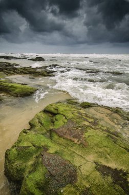 güzel Deniz Manzaralı, canlı yeşil yosunlu ve algae.dramatic bulutlu gökyüzü tarafından kaplı kaya isabet dalga