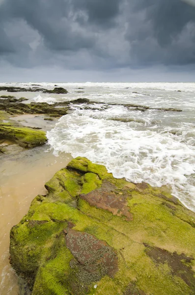 green mossy on rock hitting by soft waves over dark and cloudy sky.selective focus shot