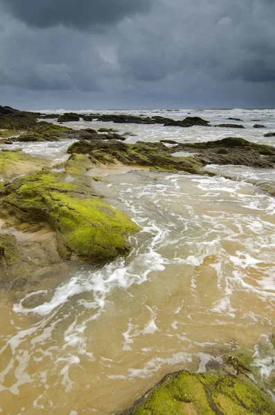 green mossy on rock hitting by soft waves over dark and cloudy sky.selective focus shot