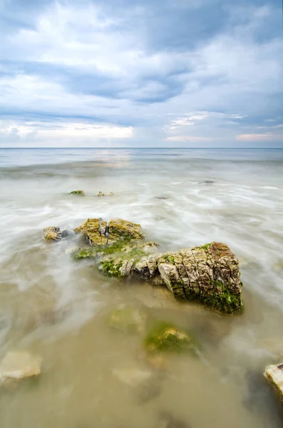 Красивые Зеленые Водоросли Камне Пляже Время Отливной Воды Солнечный Свет — стоковое фото
