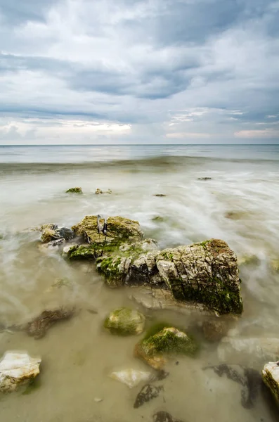 Красиві Зелені Водорості Камені Пляжі Під Час Низької Припливної Води — стокове фото