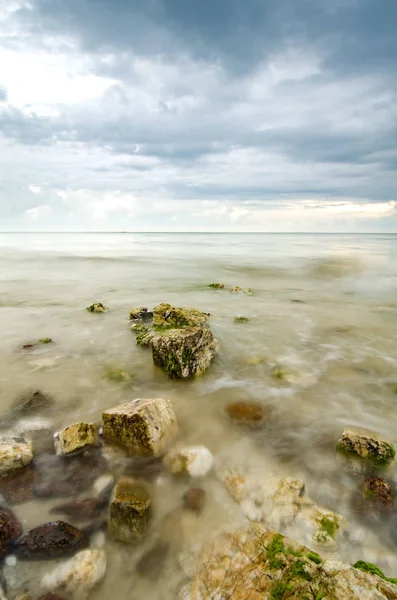 Красиві Зелені Водорості Камені Пляжі Під Час Низької Припливної Води — стокове фото