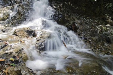 güzel doğa, basamaklı tropikal Nehri üzerinden ıslak taşın güneşli gün akan