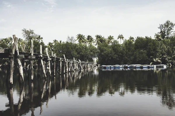 Hermoso reflejo sobre puente de madera de agua, árbol de coco, árbol de manglar y boya flotante — Foto de Stock