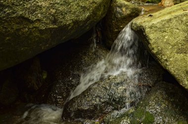 Doğada, tropikal nehir basamaklı güzel ıslak ve yosunlu rock, yeşil yağmur ormanıyla çevrili