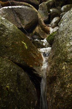 Doğada, tropikal nehir basamaklı güzel ıslak ve yosunlu rock, yeşil yağmur ormanıyla çevrili