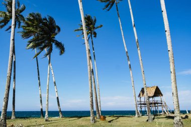 Parlak güneşli bir günde, kumlu plaj, tekne, Hindistan cevizi ağacı ve mavi gökyüzü arka plan altında güzel tropikal Deniz Manzaralı