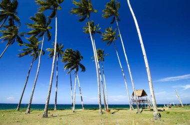Parlak güneşli bir günde, kumlu plaj, tekne, Hindistan cevizi ağacı ve mavi gökyüzü arka plan altında güzel tropikal Deniz Manzaralı