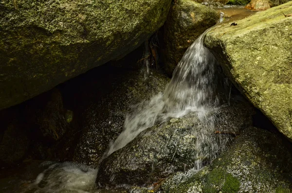 Doğada, tropikal nehir basamaklı güzel ıslak ve yosunlu rock, yeşil yağmur ormanıyla çevrili