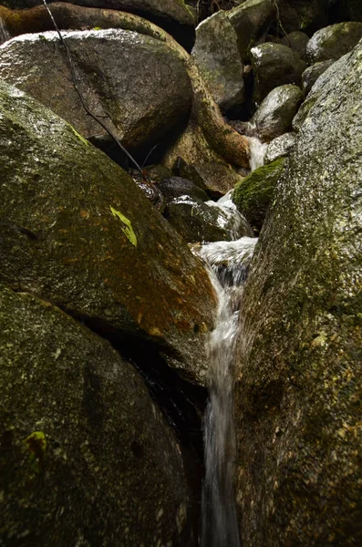 Doğada, tropikal nehir basamaklı güzel ıslak ve yosunlu rock, yeşil yağmur ormanıyla çevrili