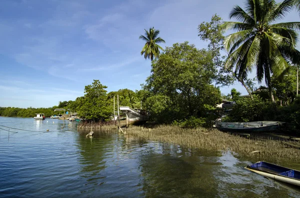 Doğada, doğal görünümünü köyü yakınlarında nehir kıyısında güneşli gün Terengganu, Malezya'da bulunan güzel