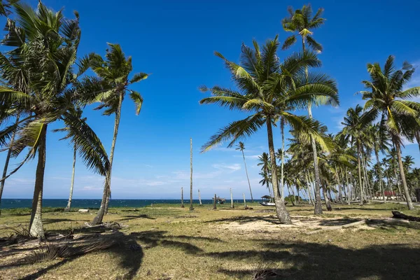 Beautiful Village Terengganu Malaysia Beach Surrounded Coconut Tree Bright Sun — Stock Photo, Image