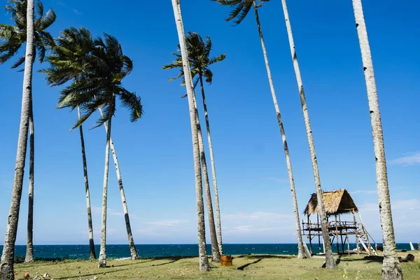 Parlak güneşli bir günde, kumlu plaj, tekne, Hindistan cevizi ağacı ve mavi gökyüzü arka plan altında güzel tropikal Deniz Manzaralı