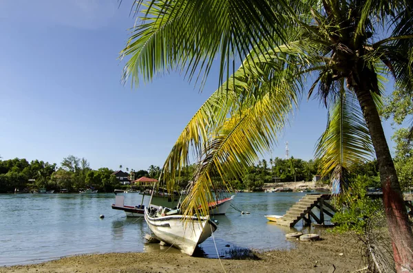 Vakker Sin Natur Flott Utsikt Landsbyen Nær Elvebredden Terengganu Malaysia – stockfoto