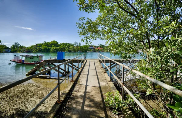 Doğada, doğal görünümünü köyü yakınlarında nehir kıyısında güneşli gün Terengganu, Malezya'da bulunan güzel