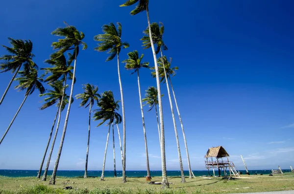 güzel tropikal deniz sahilinde güneşli day.blue gökyüzü ve turkuaz deniz suyu seyahat tatil arka plan için ideal