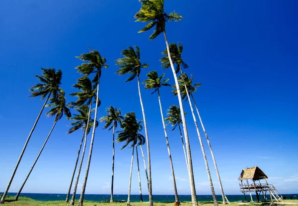 güzel tropikal deniz sahilinde güneşli day.blue gökyüzü ve turkuaz deniz suyu seyahat tatil arka plan için ideal
