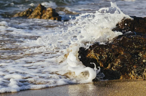 Sahilde rock isabet ederken dalga sıçramasına güzel doğa