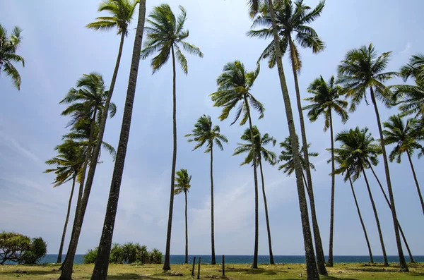 Beautiful Traditional Village Located Terengganu Malaysia Surrounded Nature Beach Blue — Stock Photo, Image