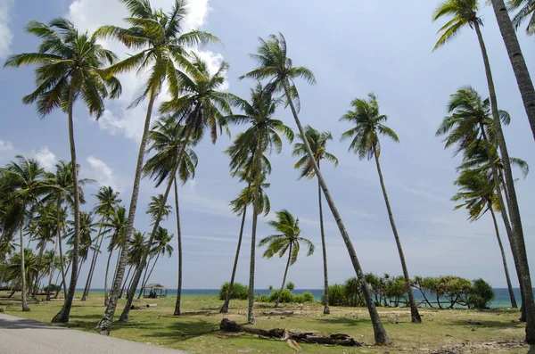 Beautiful Traditional Village Located Terengganu Malaysia Surrounded Nature Beach Blue — Stock Photo, Image