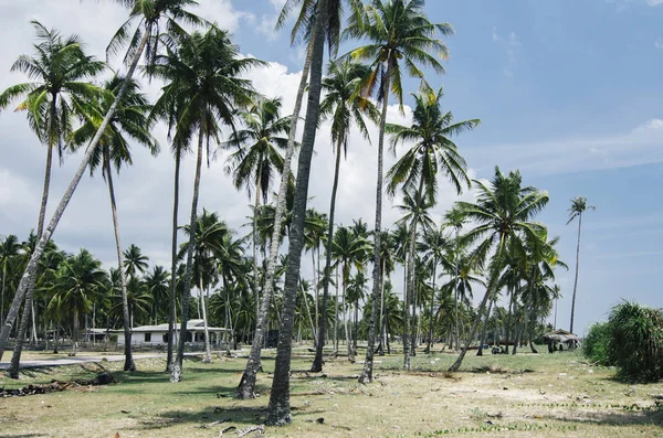 Terengganu, doğa, plaj ve mavi gökyüzü arka plan parlak güneşli bir günde altında tarafından Malaysia.surrounded yer alan güzel geleneksel köy