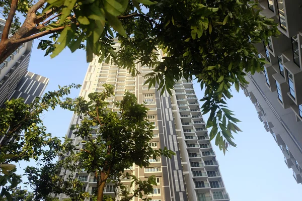 Casa Área Subúrbio Residencial Verde Com Reflexos Vista Baixo Para — Fotografia de Stock