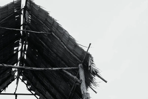 Монохромный Образ Бамбуковой Хижины Яркий Солнечный День — стоковое фото