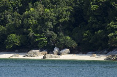 Vahşi tropik sahil şeridine yemyeşil bitki örtüsü, beyaz kumlu ve kayalık plaj