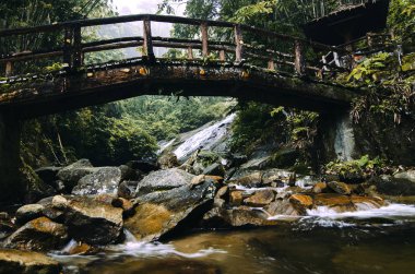 Şaşırtıcı basamaklı tropik şelale. ıslak ve yosunlu rock