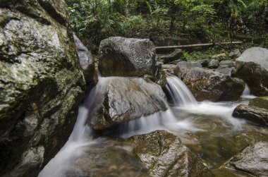 Şaşırtıcı basamaklı tropik şelale. ıslak ve yosunlu rock