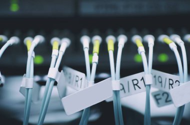 Çekirdek Ağ anahtarı üzerinde veri aktarımı optik fiber tarafından. seçici odak vurdu