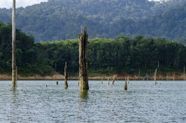 Tropikal yağmur ormanları manzara, Royal Belum devlet Perak, Malezya parkı çevreleyen doğa güzelliği
