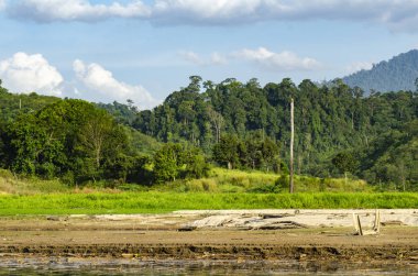 Tropikal yağmur ormanları manzara, Royal Belum devlet Perak, Malezya parkı çevreleyen doğa güzelliği