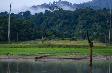 Tropikal yağmur ormanları manzara, Royal Belum devlet Perak, Malezya parkı çevreleyen doğa güzelliği