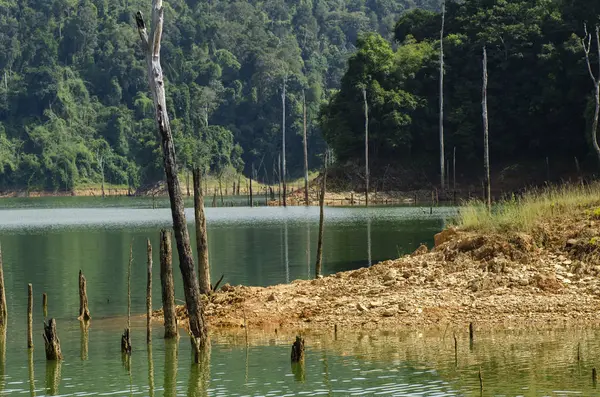 美丽的大自然围绕热带雨林景观的皇家 Belum 州立公园坐落在霹雳 马来西亚 — 图库照片