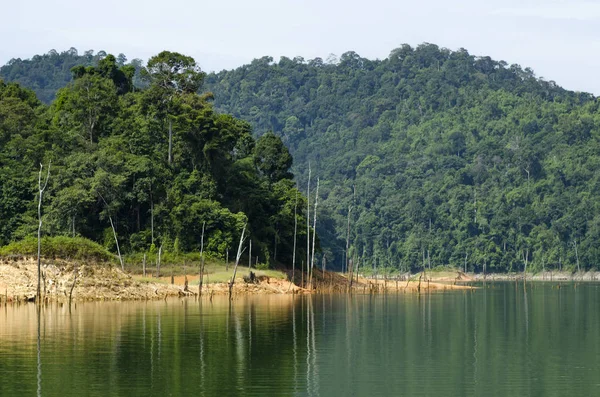 美丽的大自然围绕热带雨林景观的皇家 Belum 州立公园坐落在霹雳 马来西亚 — 图库照片