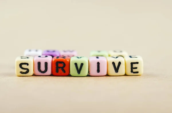 Texto Dados Letras Alfabeto Colorido Escritorio Ortografía Survive — Foto de Stock