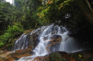 Gür yeşil forest.wet kaya ve yosun çevrili güzel tropik şelale