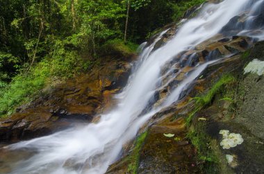 Yeşil forest.wet rock tarafından çevrili gür ve atış moss.selective odak güzel tropik şelale. 