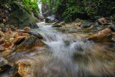 Yeşil forest.wet rock tarafından çevrili gür ve atış moss.selective odak güzel tropik şelale. 